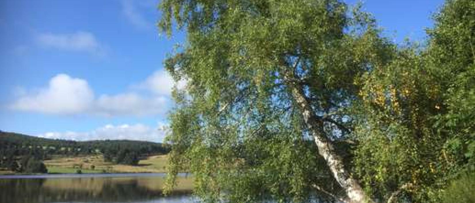 Hoofdfoto Lac du Moulinet