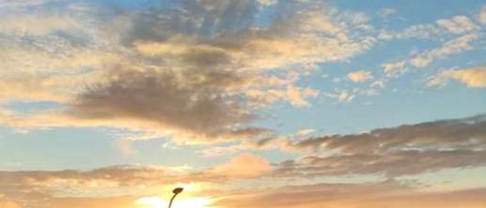 Hoofdfoto Vento Norte