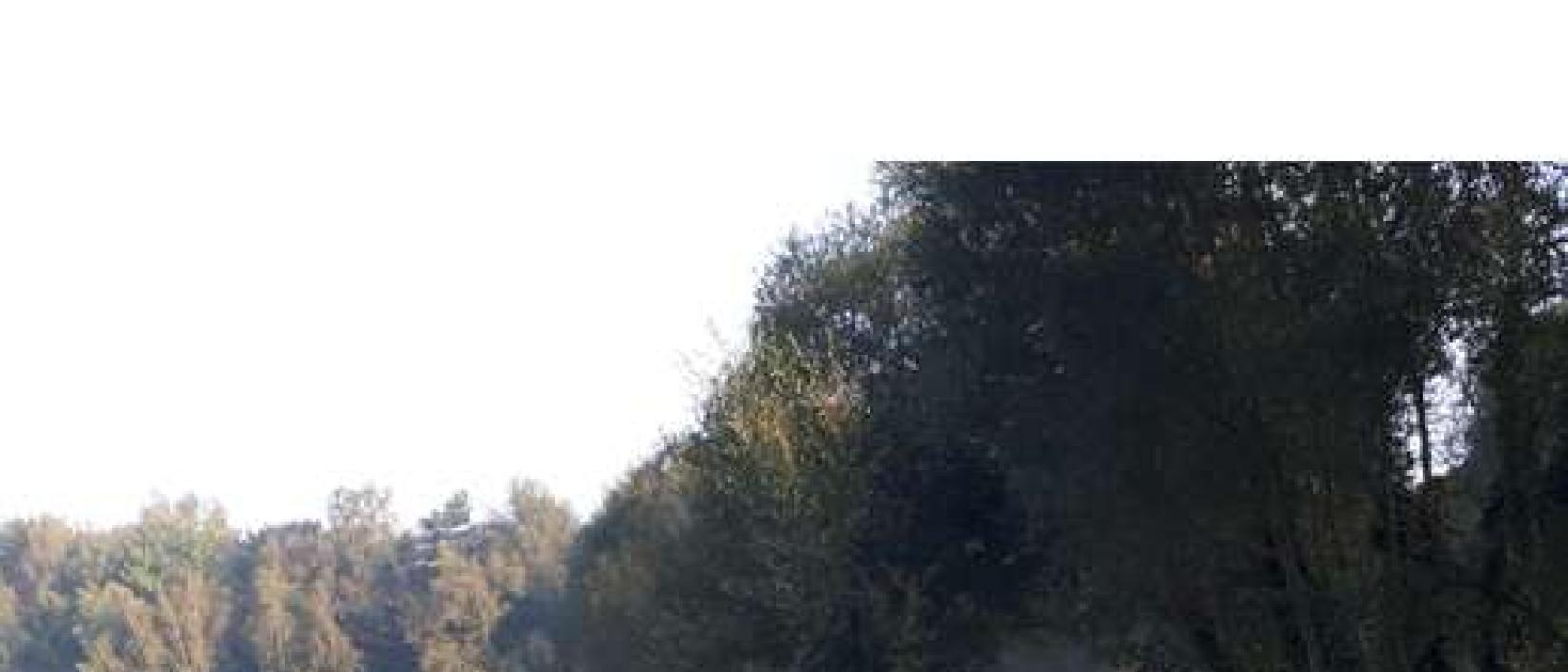 Hoofdfoto Étang de Pont Berthois