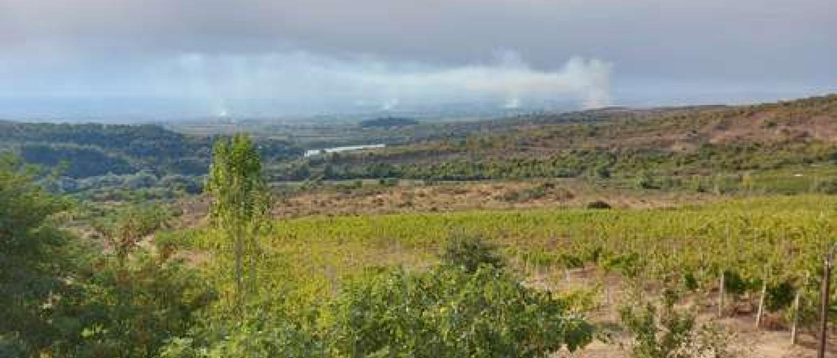 Hoofdfoto Albanica winery en restaurant