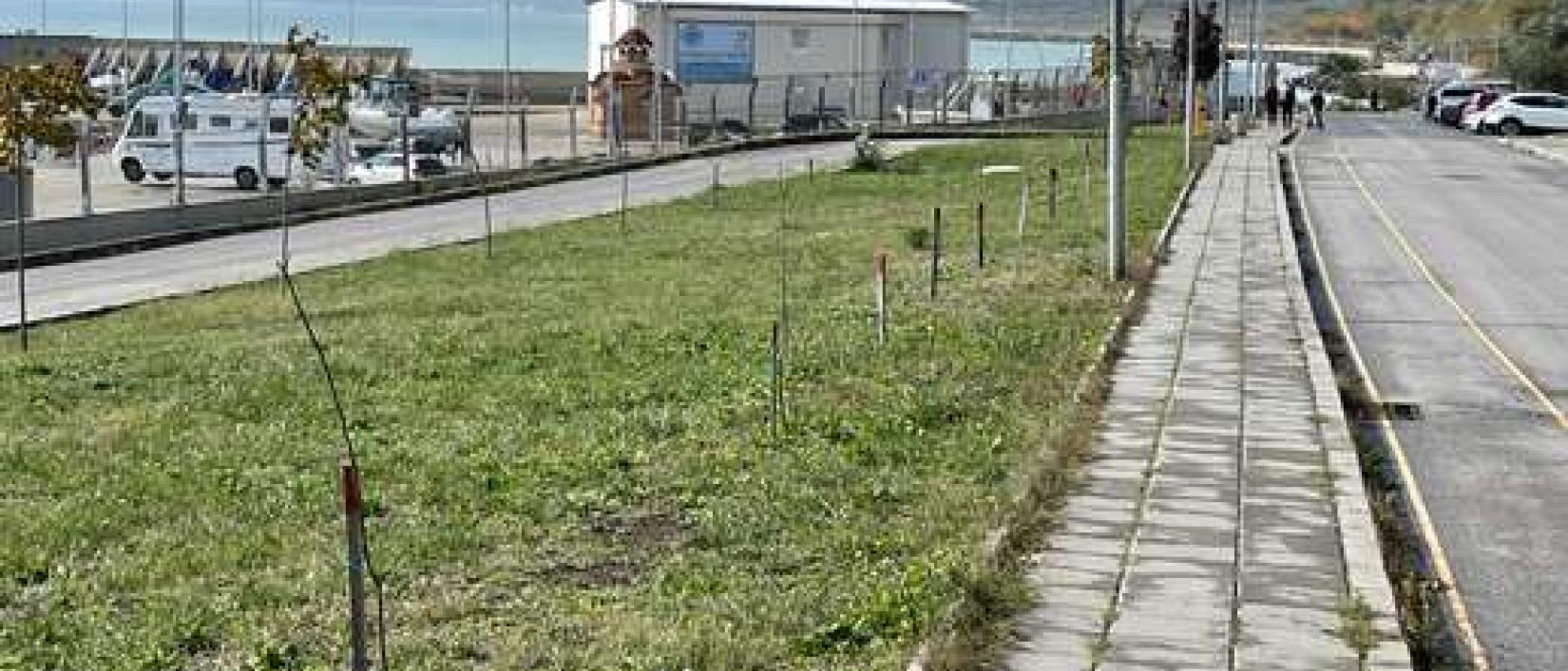 Hoofdfoto Port Sarafovo