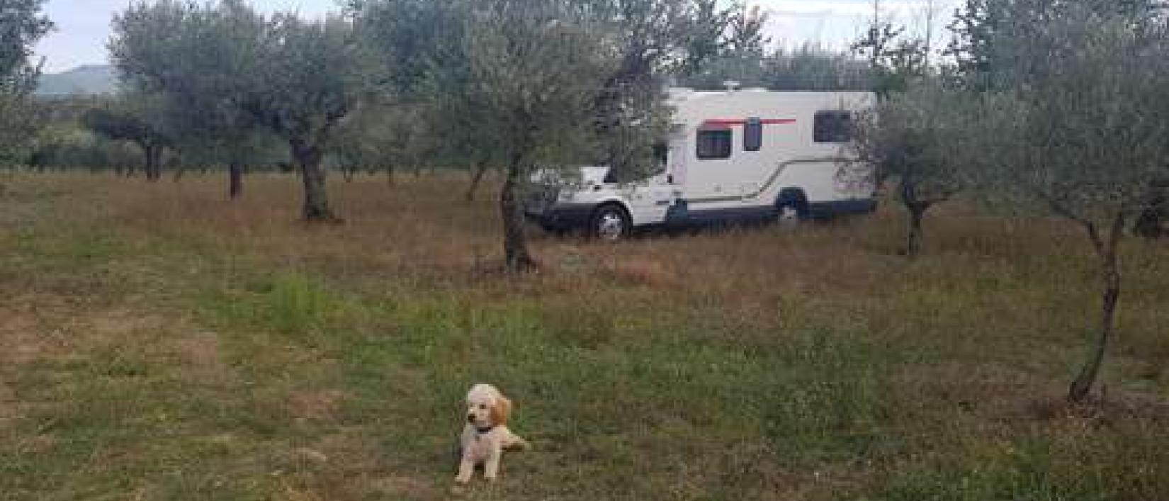 Hoofdfoto Mel Santa Maria