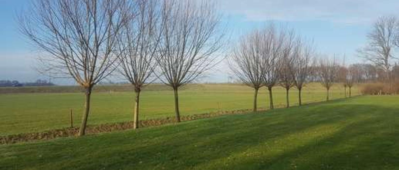 Hoofdfoto Camperplaats Erve Kievit