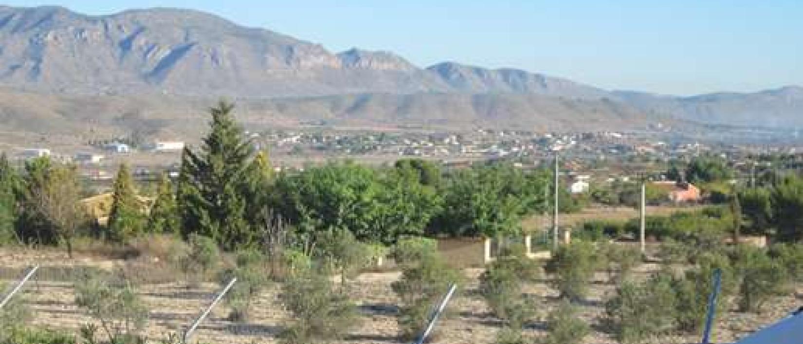 Hoofdfoto Casa Las Adelfas