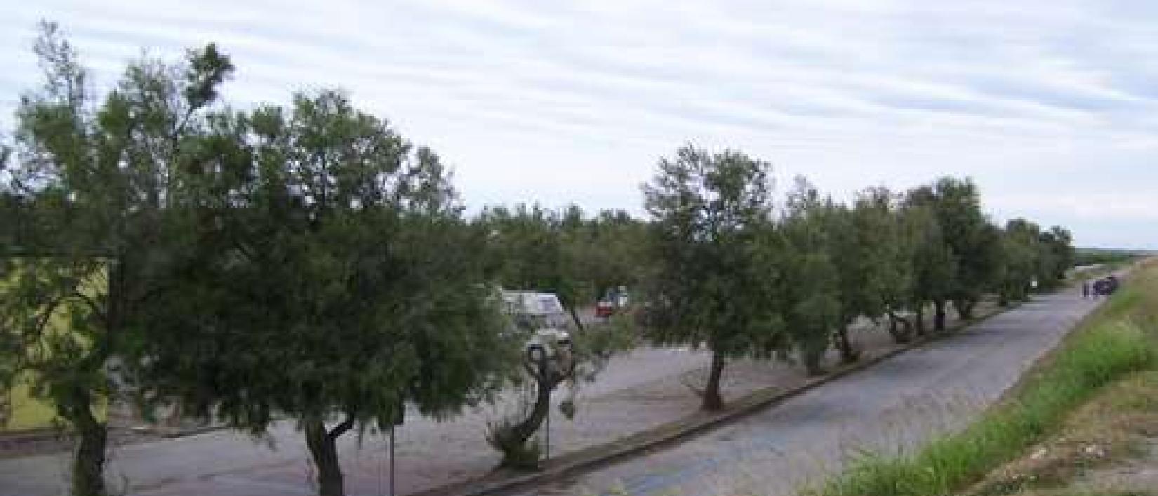 Hoofdfoto Parcheggio Comunale