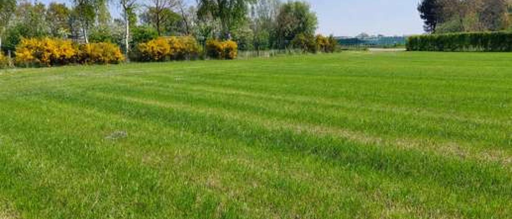 Hoofdfoto Camperpark Op't Suzen