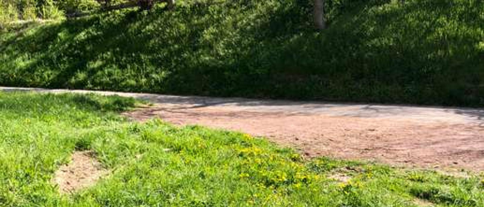 Hoofdfoto Wanderparkplatz Gottenheim