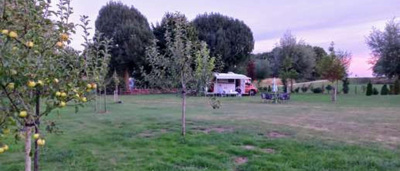 Hoofdfoto Camperplaats The Hive