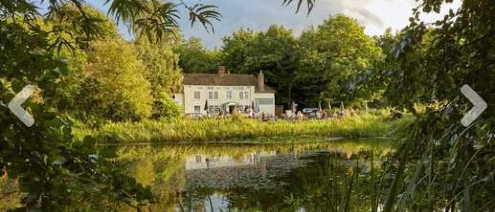 Hoofdfoto Inn on the pond