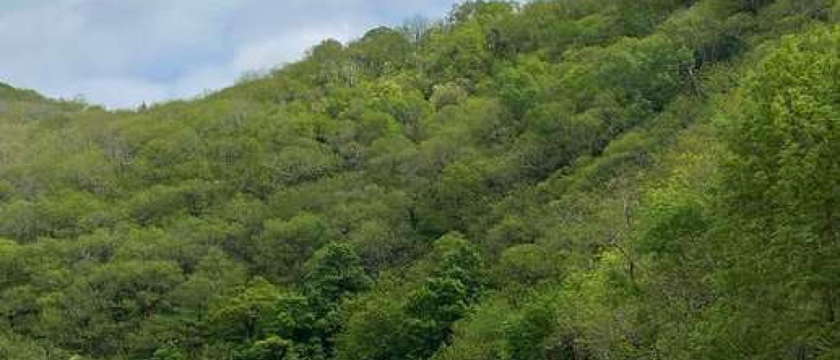 Hoofdfoto Aire Camping-Car Park de Mazamet