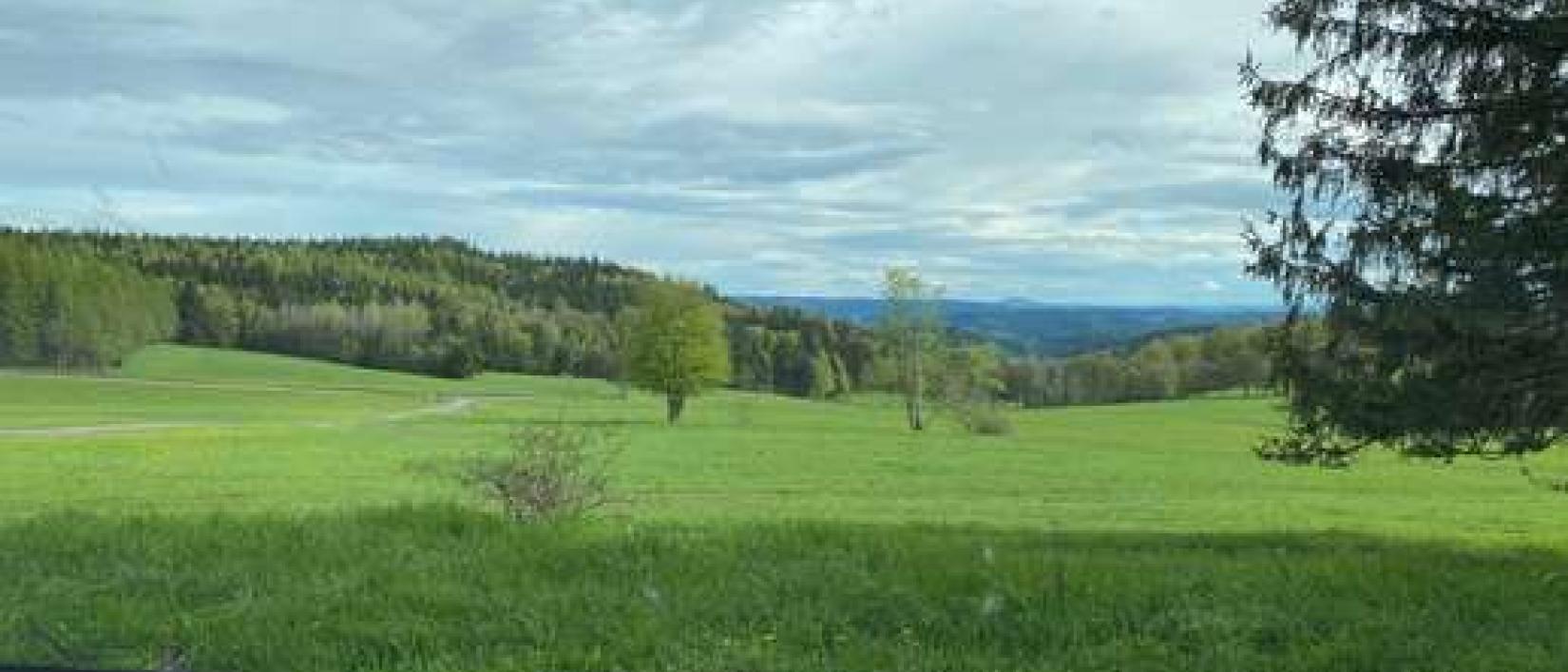 Hoofdfoto Stellplatz am Knüllfeld