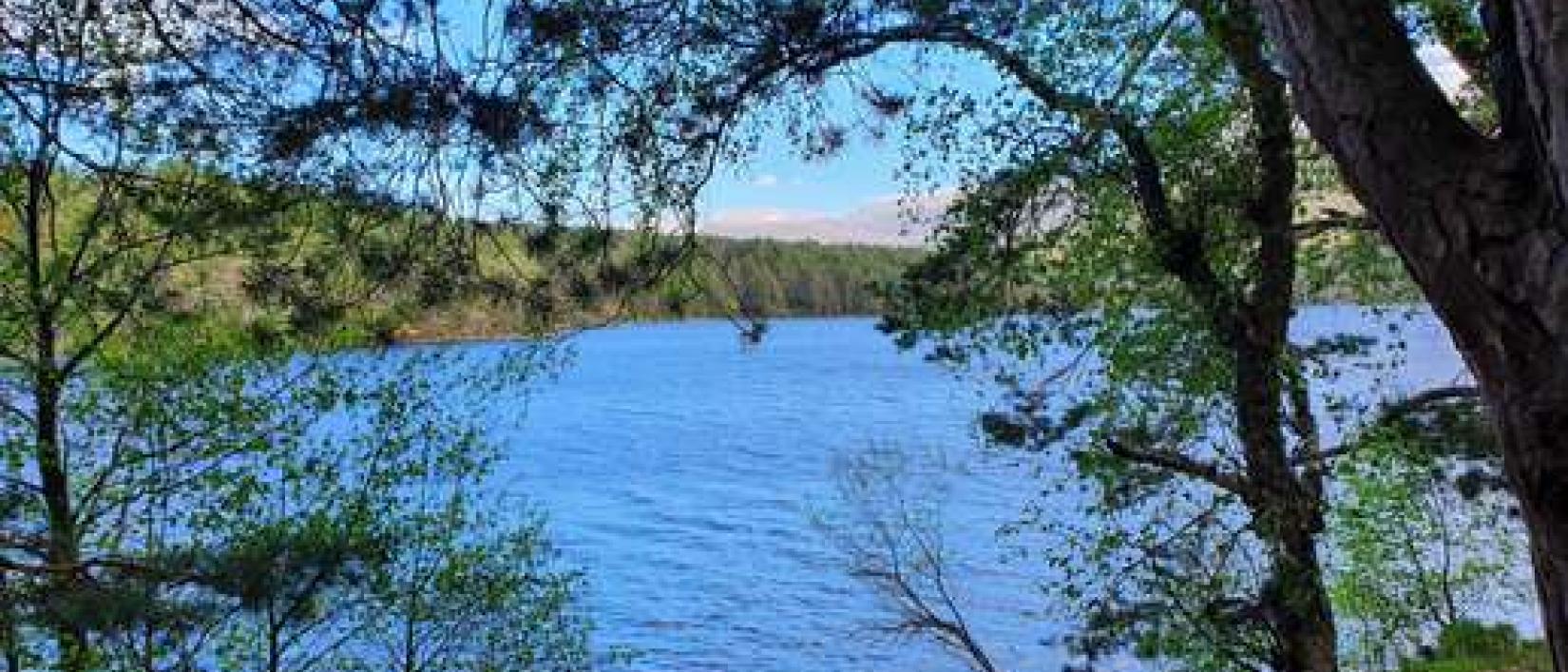 Hoofdfoto Park Loch an Eilein