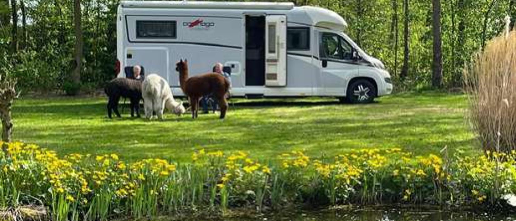 Hoofdfoto Alpaca-World Camperplaats
