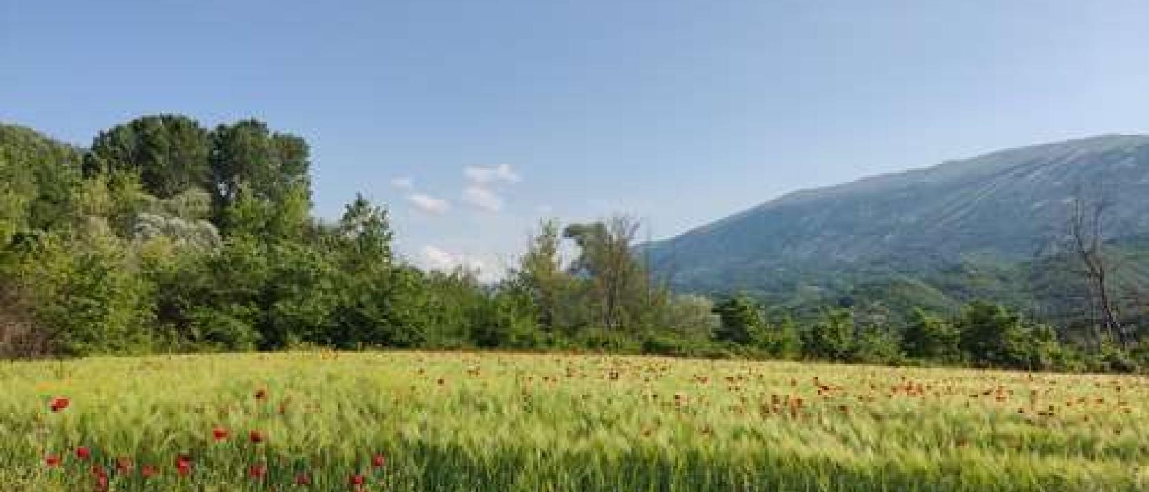Hoofdfoto Ferma Grand Albanik