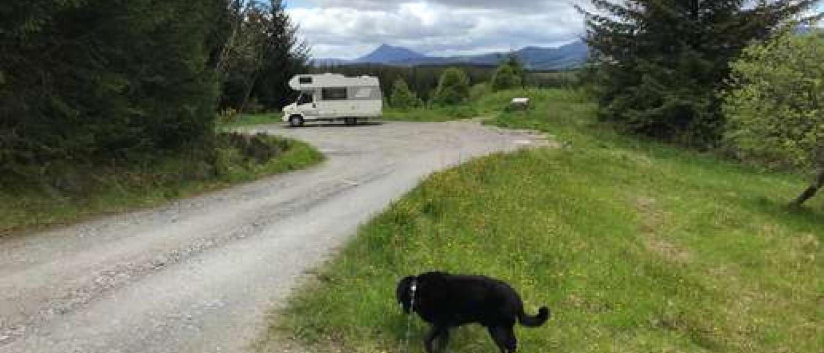 Hoofdfoto Parking Griffin Forest