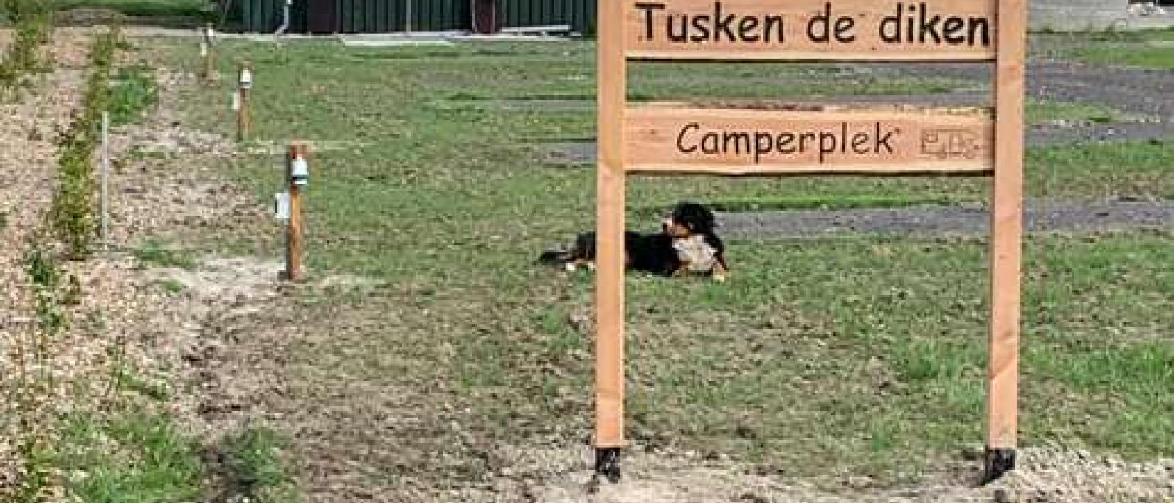 Hoofdfoto Camperplaats Tusken de Diken