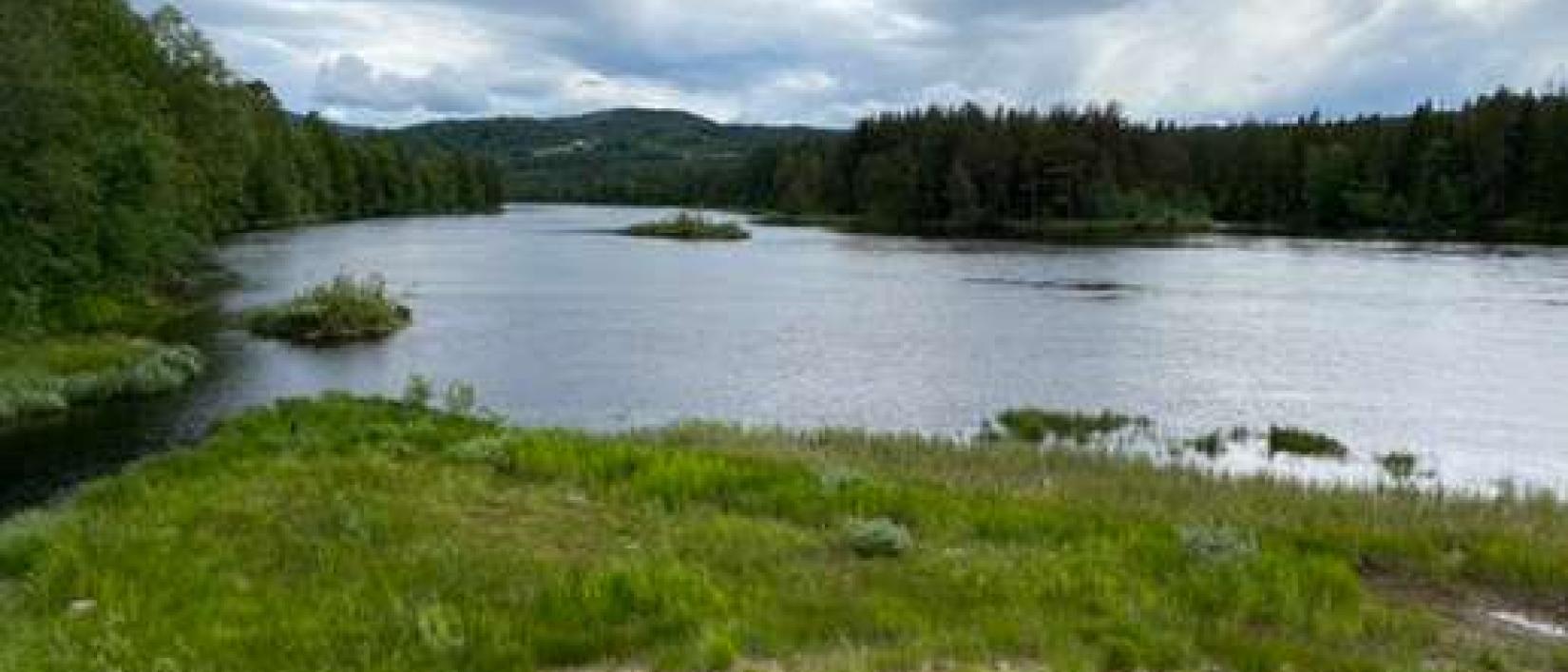 Hoofdfoto Haugen Gård