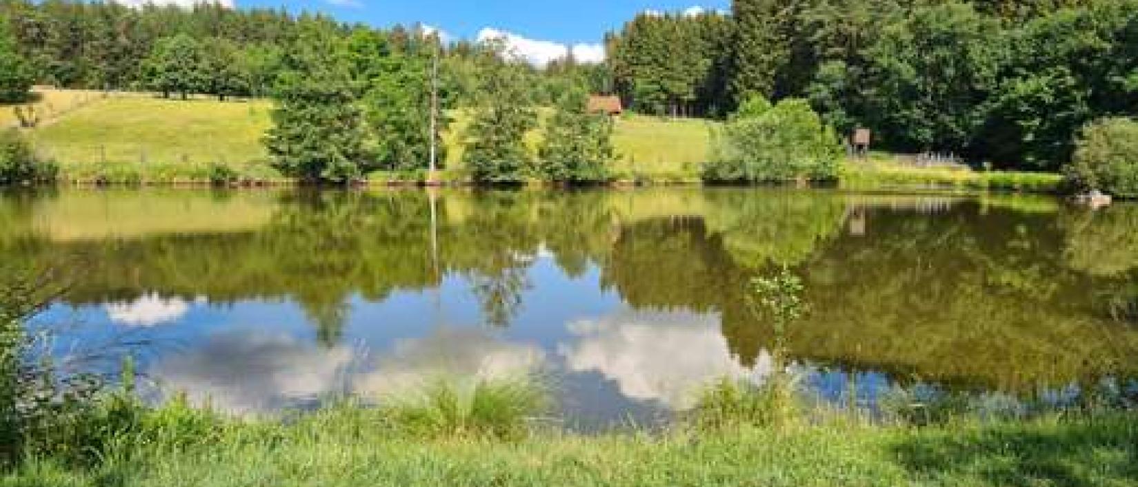 Hoofdfoto Camperplaats Aussiedlerhof