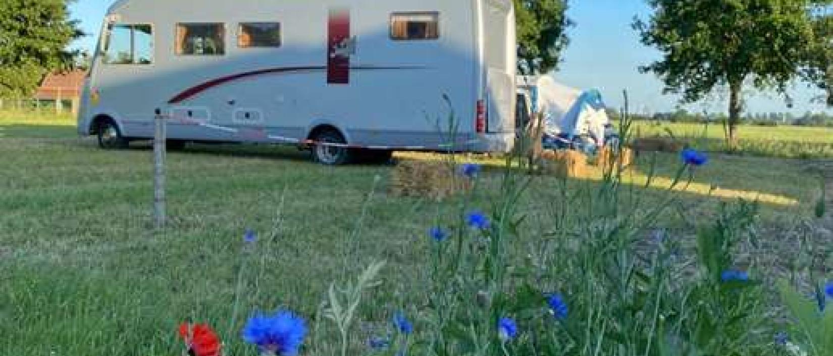 Hoofdfoto Camping 't Houtland