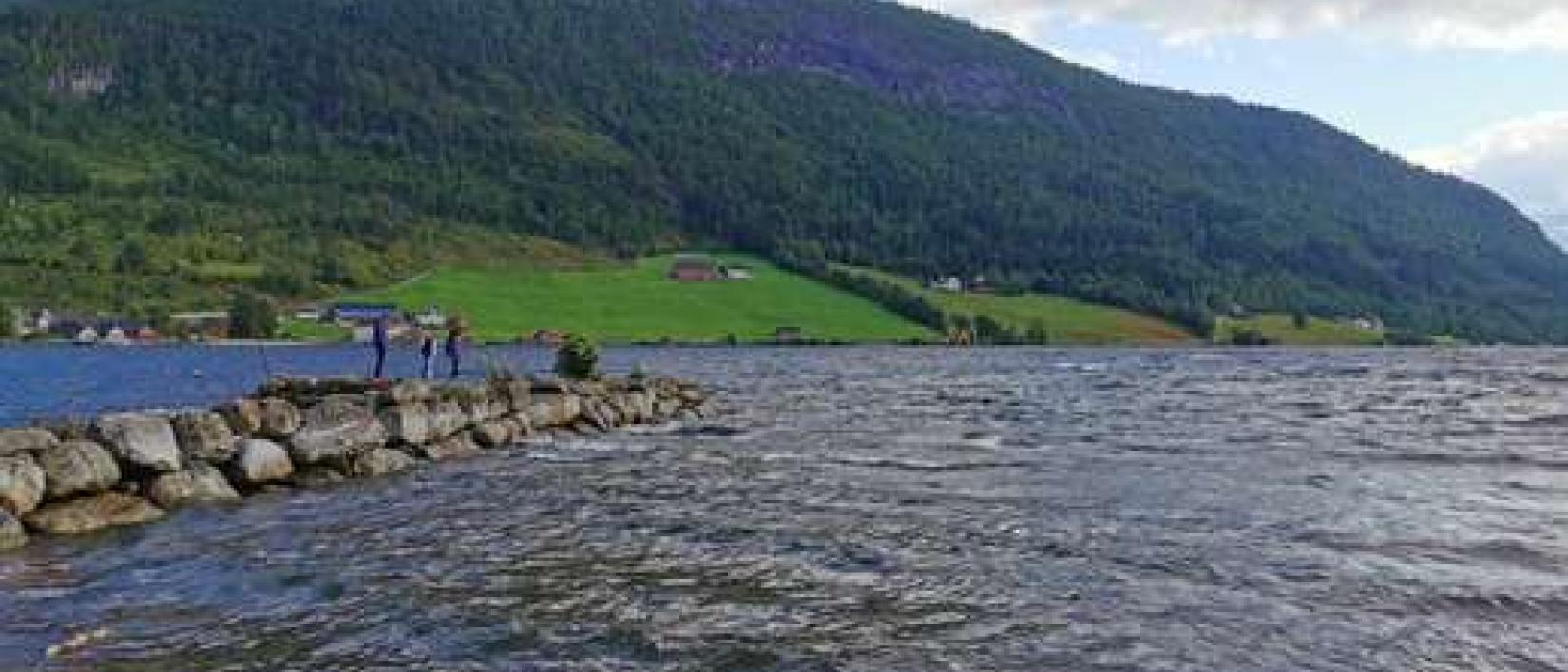 Hoofdfoto Hornindal Vasspark