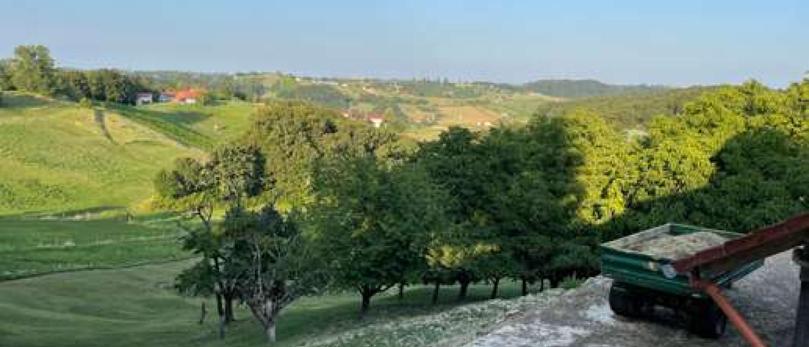 Hoofdfoto Vinogradništvo Mulec