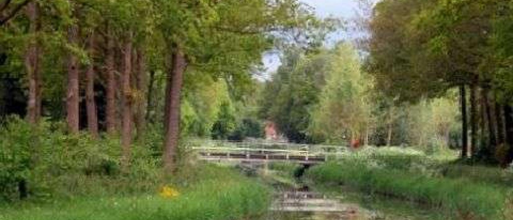 Hoofdfoto Camperplaatsen Branderveenweg