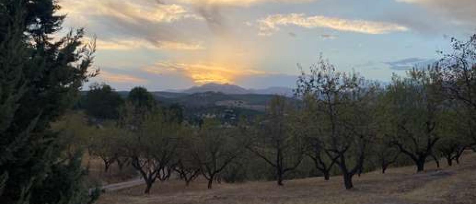 Hoofdfoto El Puerto del Jaral