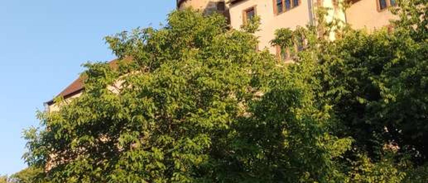 Hoofdfoto Parkplatz Ronneburg