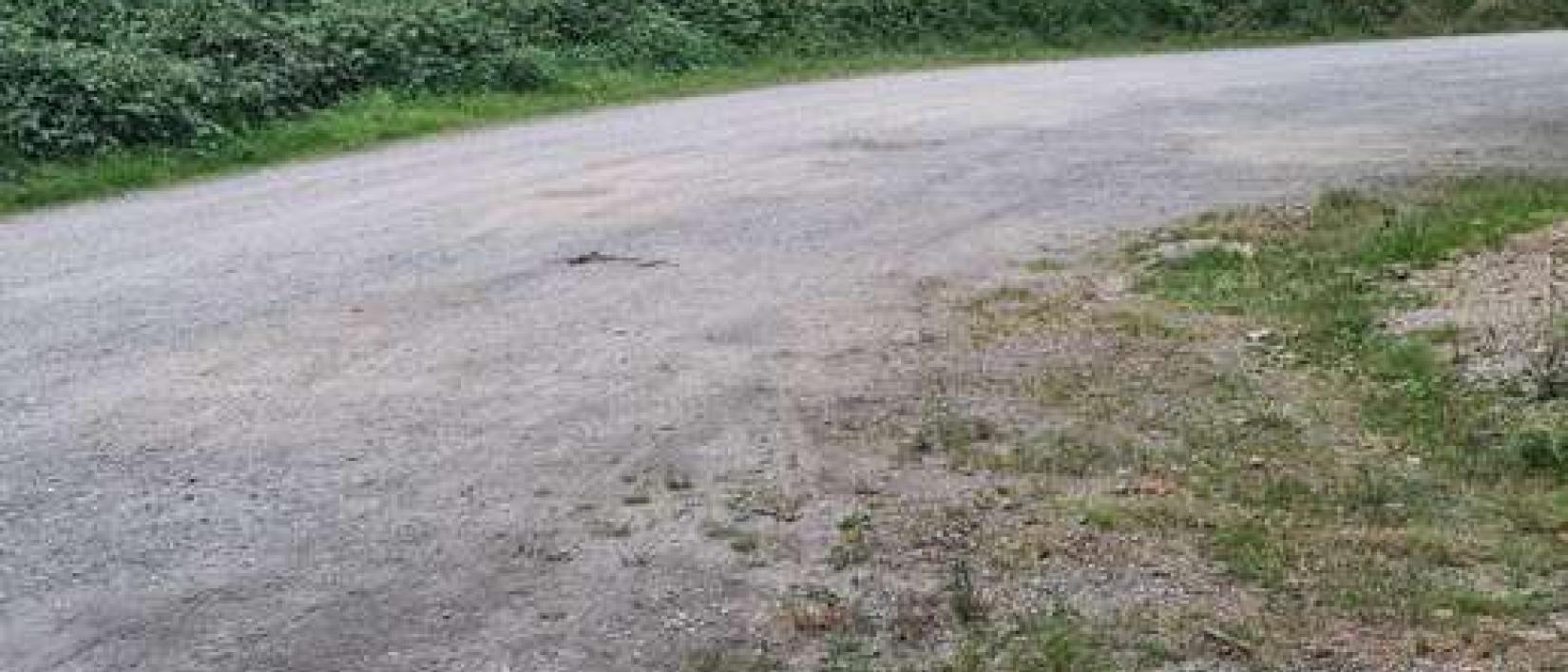 Hoofdfoto Parkplatz Königsdorfer Forst