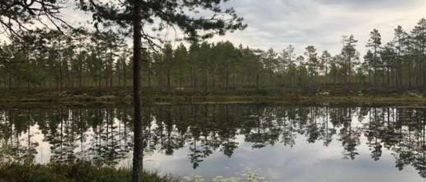 Hoofdfoto Sunnansjö