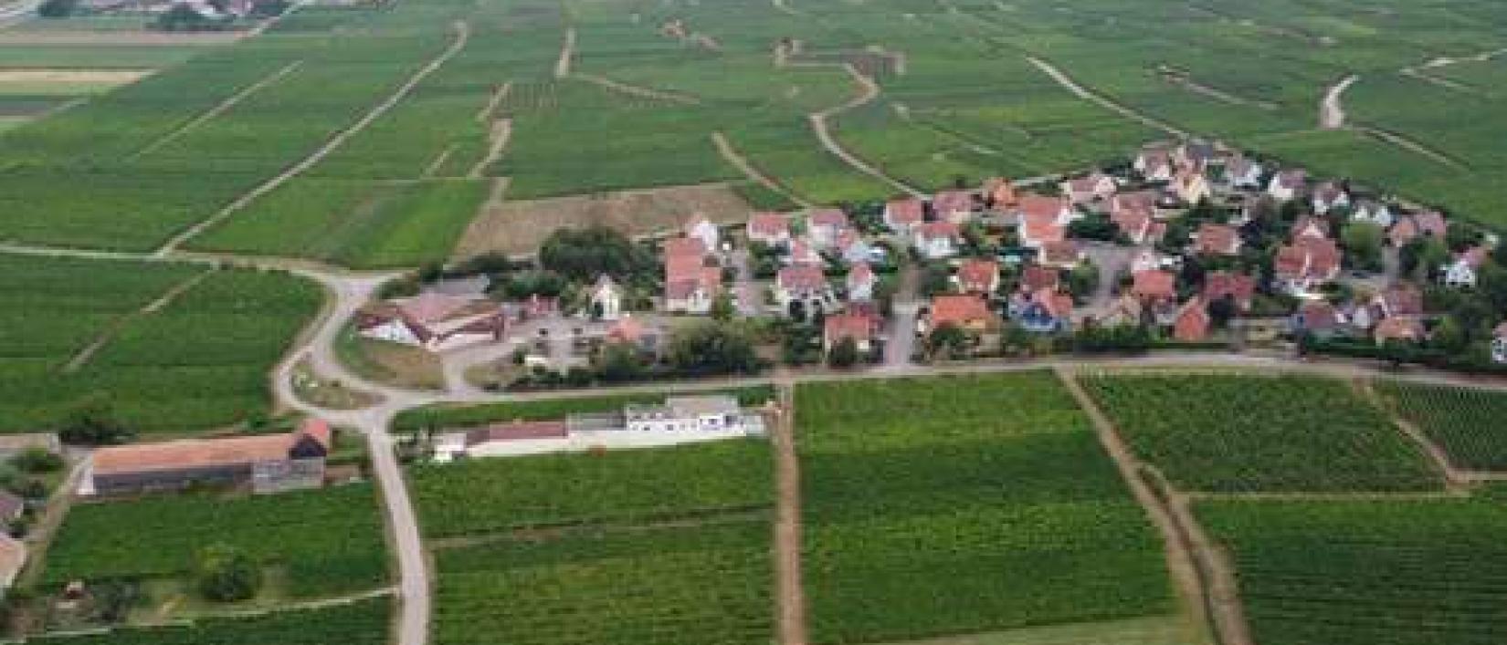 Hoofdfoto Domaine Gueth