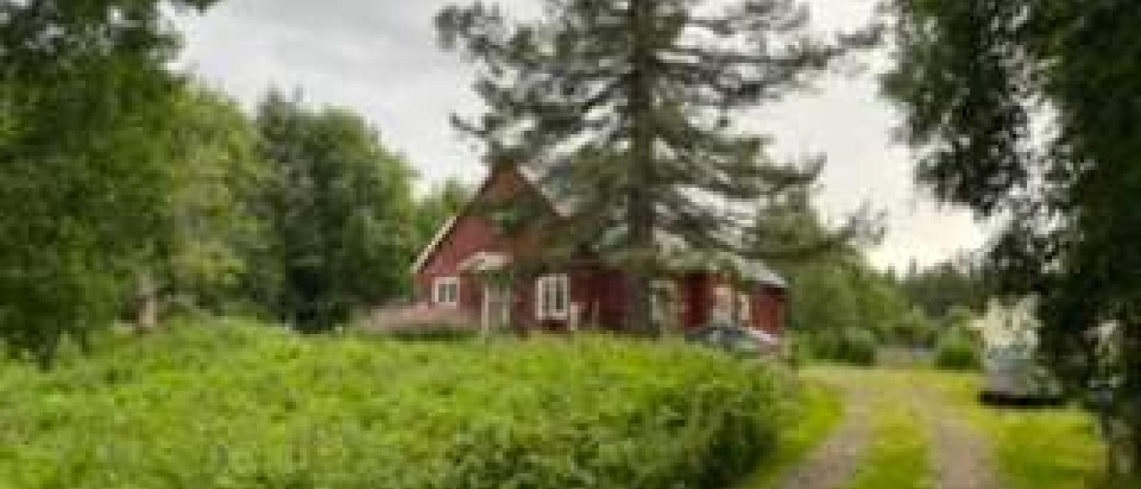 Hoofdfoto Nordic Husky Farm Björnvägen