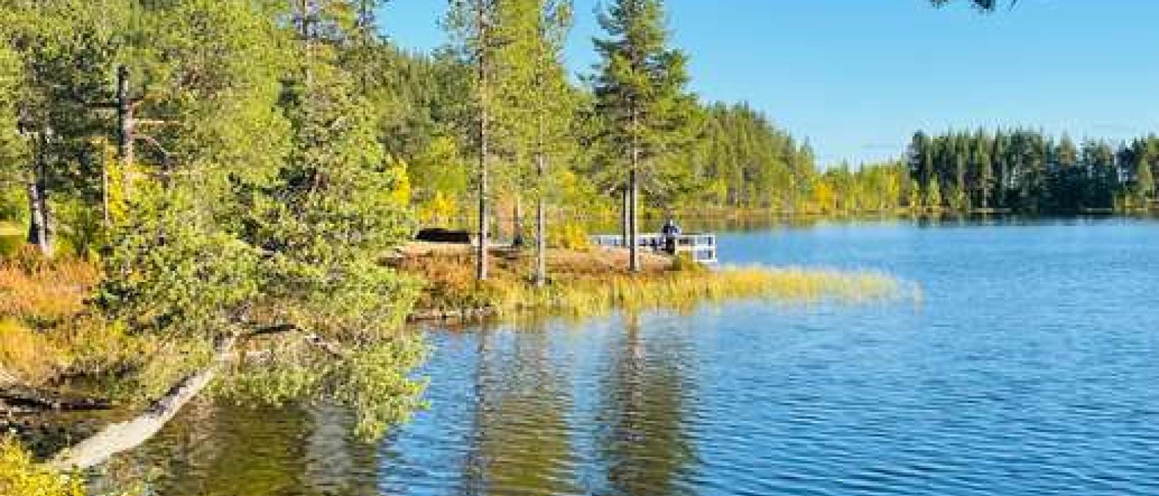 Hoofdfoto Torne-Centralvägen