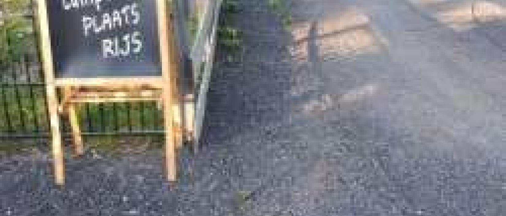 Hoofdfoto Camperplaats Rijs