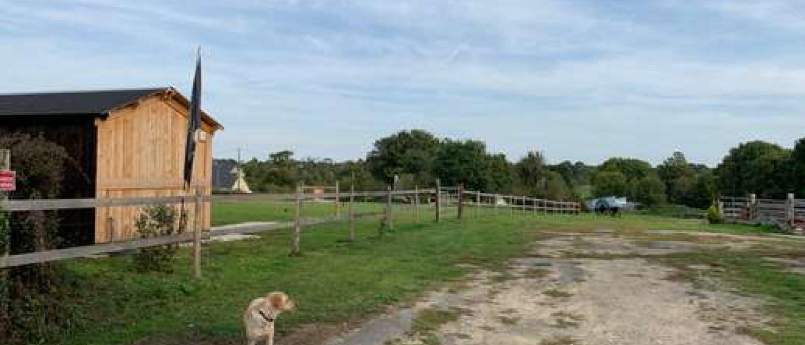 Hoofdfoto Camping à la ferme