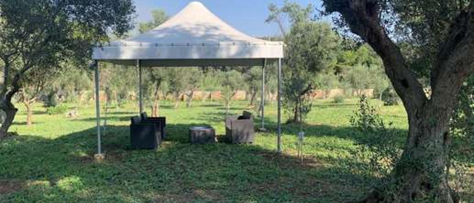 Hoofdfoto AgriCampeggio Tenuta Ferrario