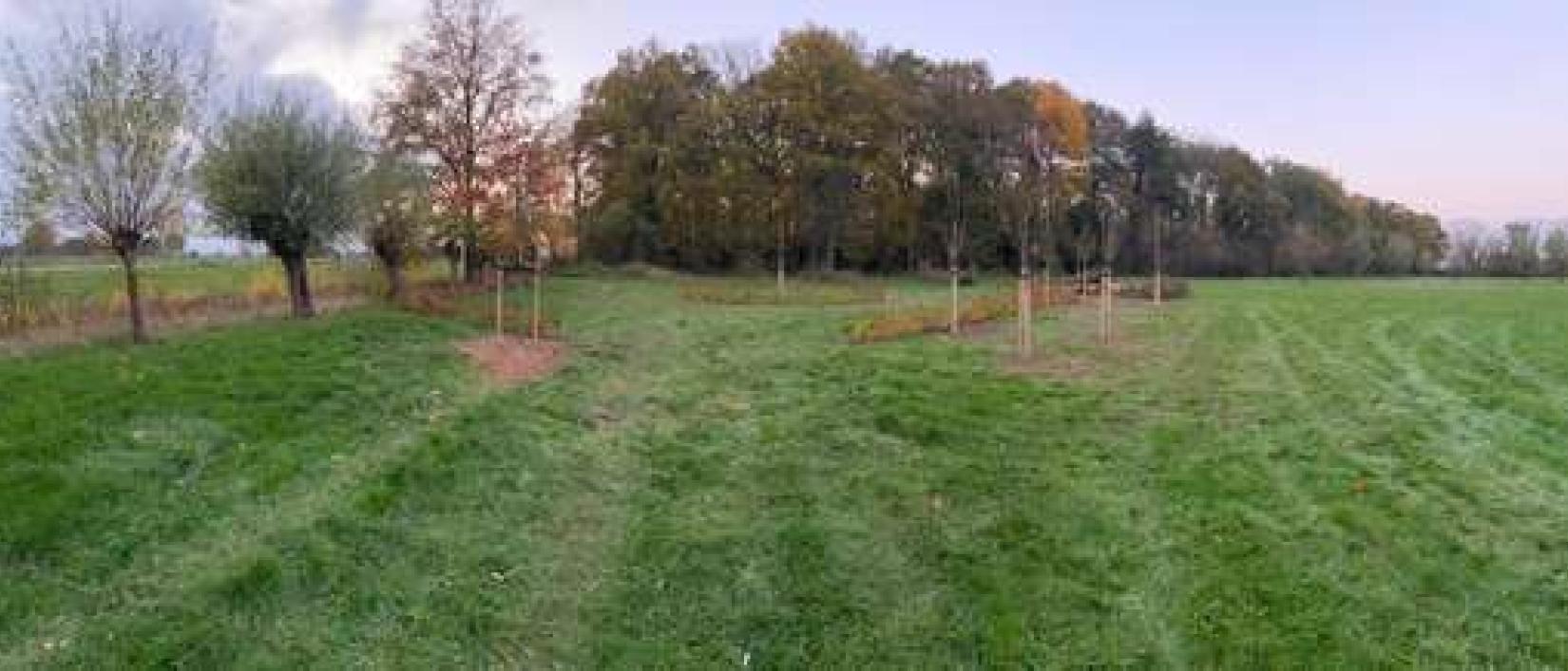 Hoofdfoto Camperplaats De Bronkhorst