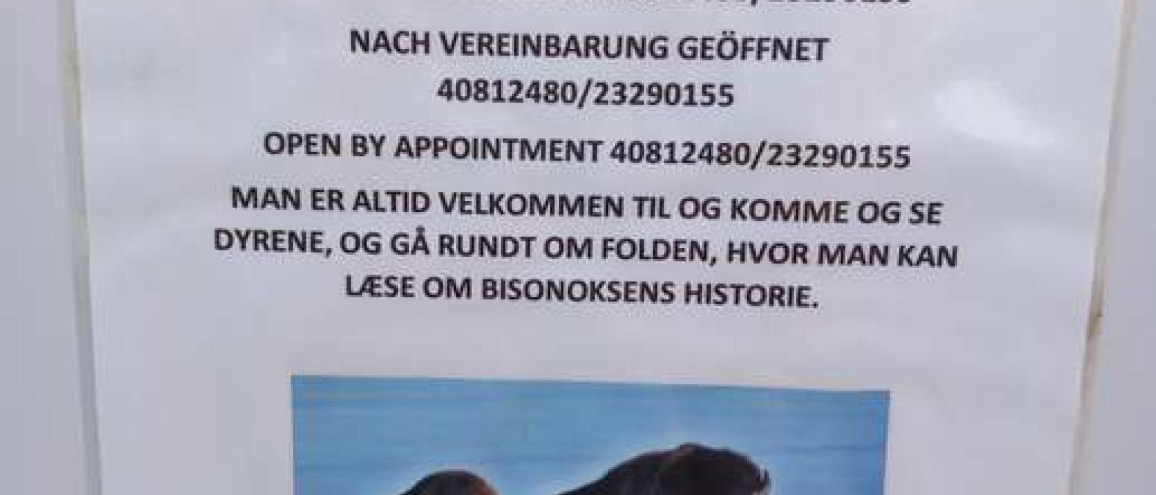 Hoofdfoto Randeris Bison