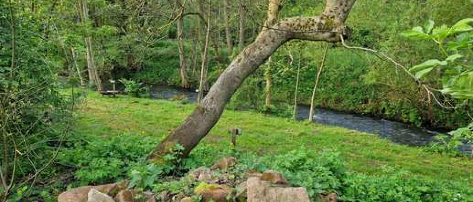 Hoofdfoto Weinstube Schalkhaus