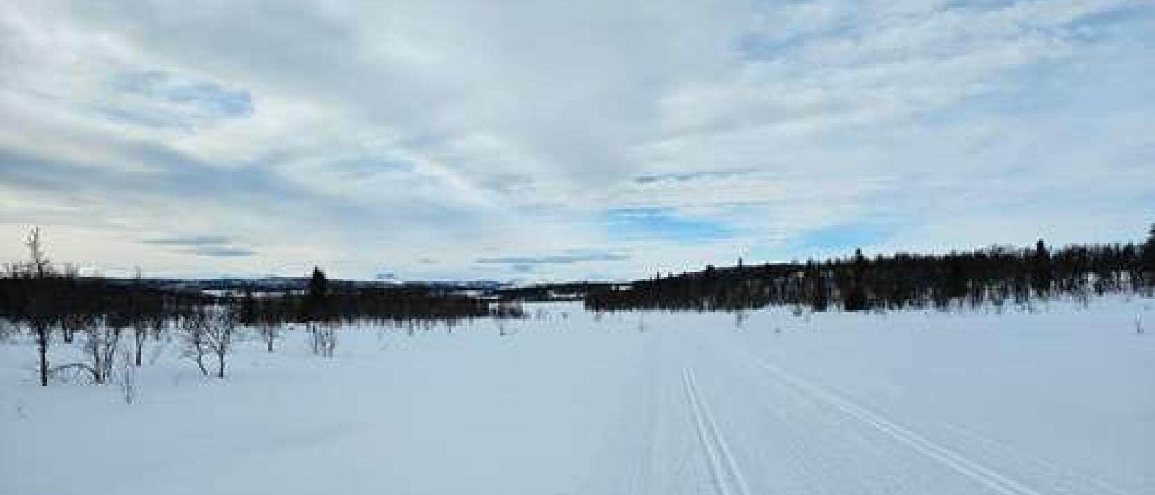 Hoofdfoto Lenningen Fjellstue