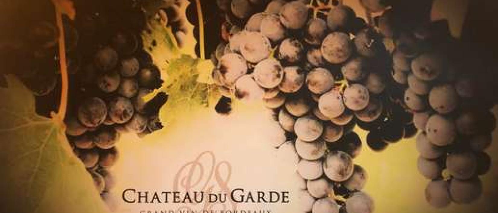 Hoofdfoto Chateau du Garde