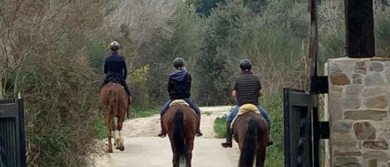 Hoofdfoto Rancho Pancho