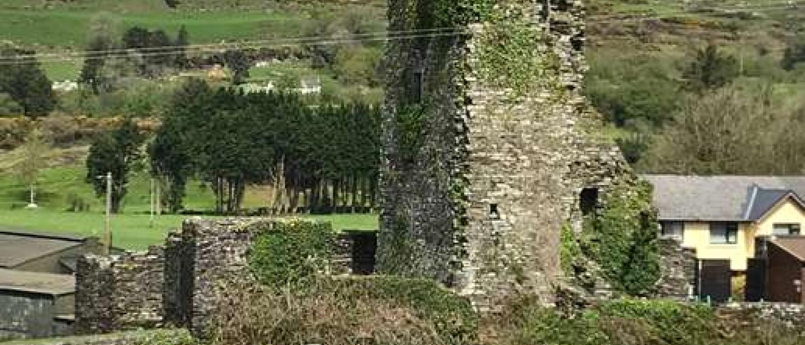 Hoofdfoto Carriganass castle