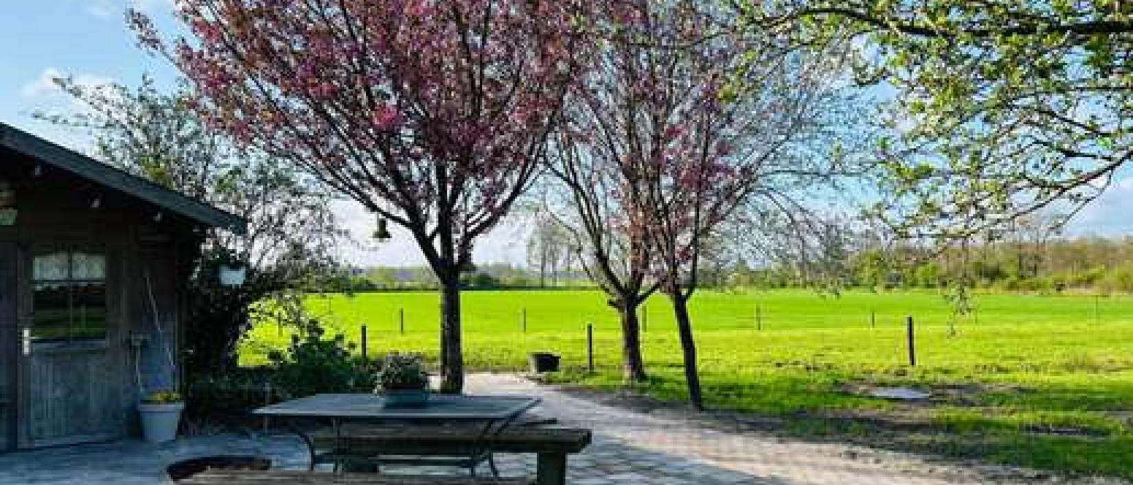 Hoofdfoto Camperplaats Ureterp