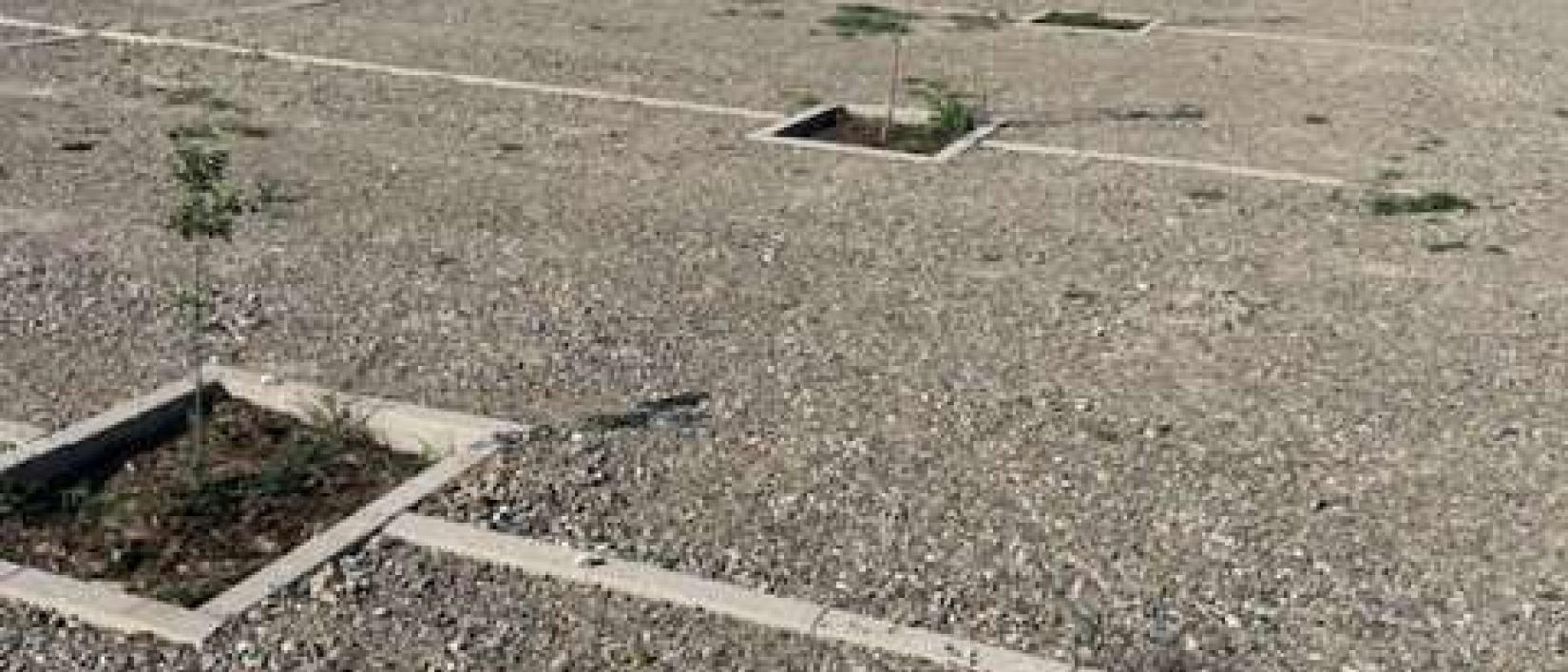 Hoofdfoto Área de servicio caravanas, autocaravanas y campers.