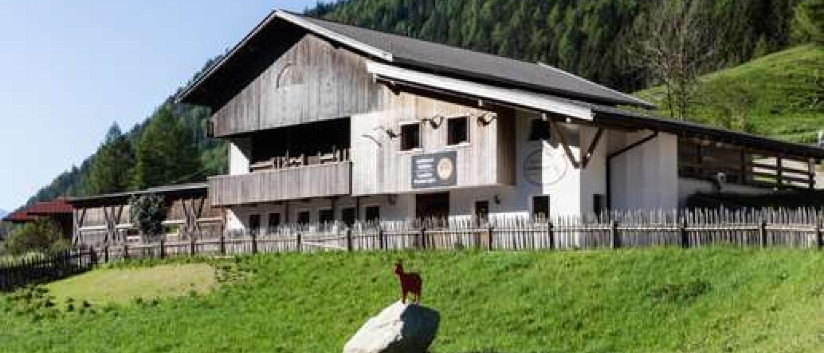 Hoofdfoto Ziegenhof Unteregger
