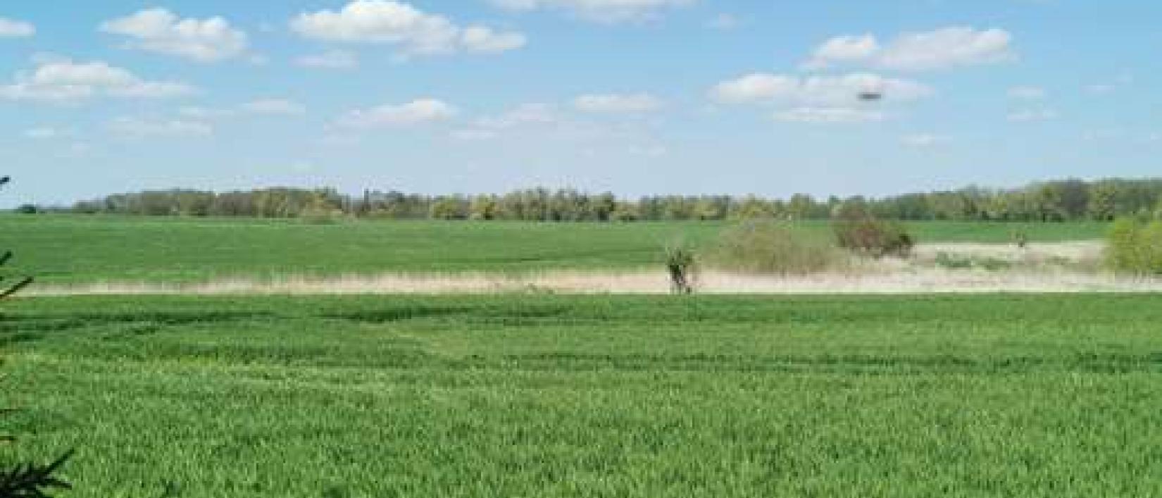 Hoofdfoto Stellplatz Behren-Lübchin