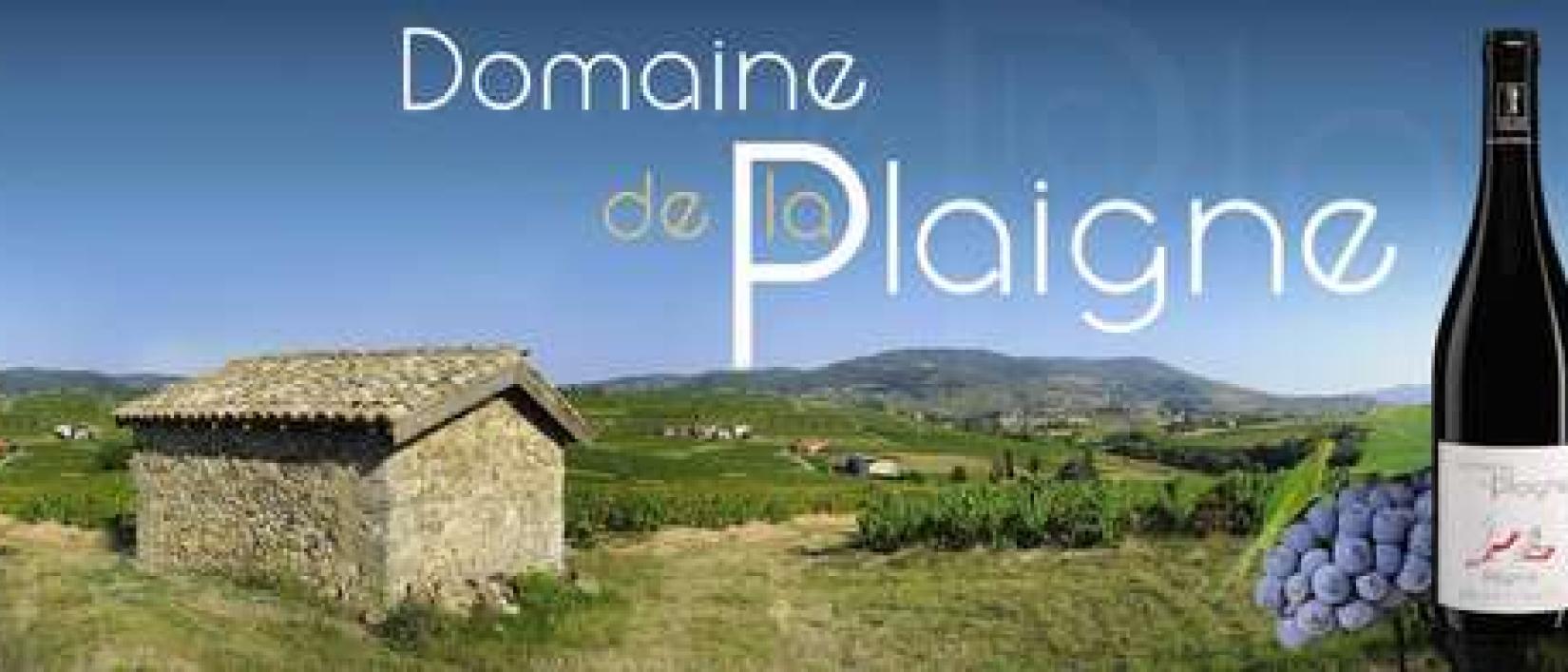 Hoofdfoto Domaine de la Plaigne