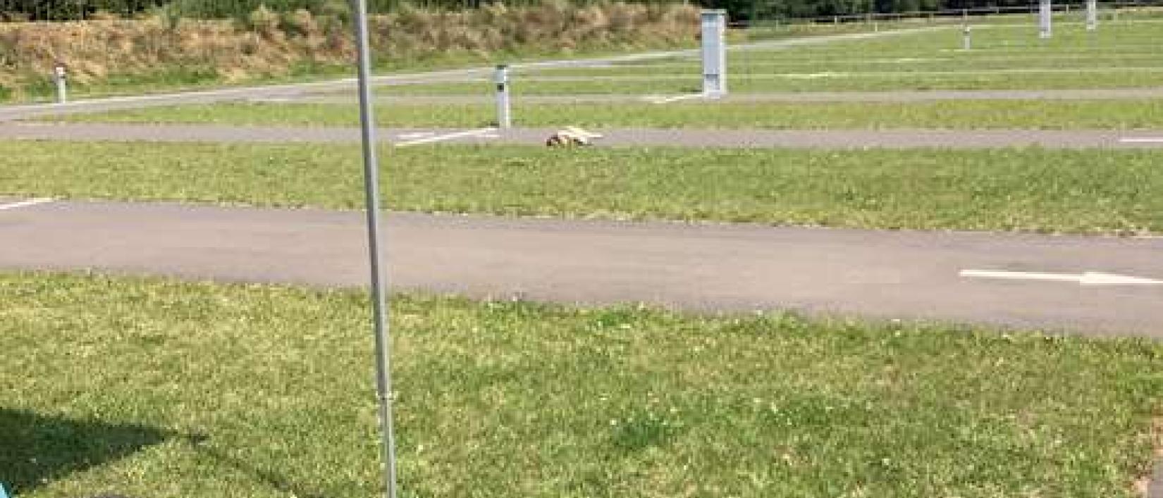 Hoofdfoto Wohnmobilpark Freizeit & Campingpark Tespe