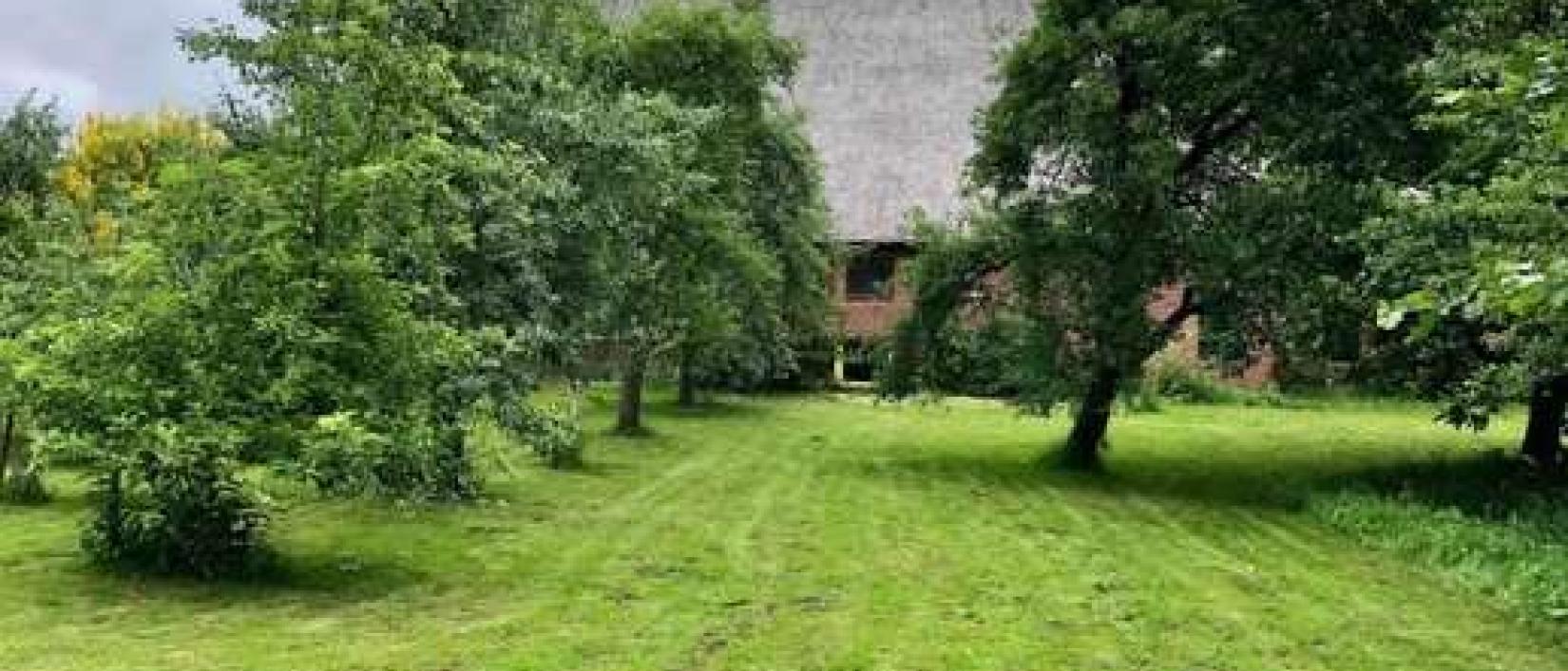 Hoofdfoto Naturhof Ohlrogge